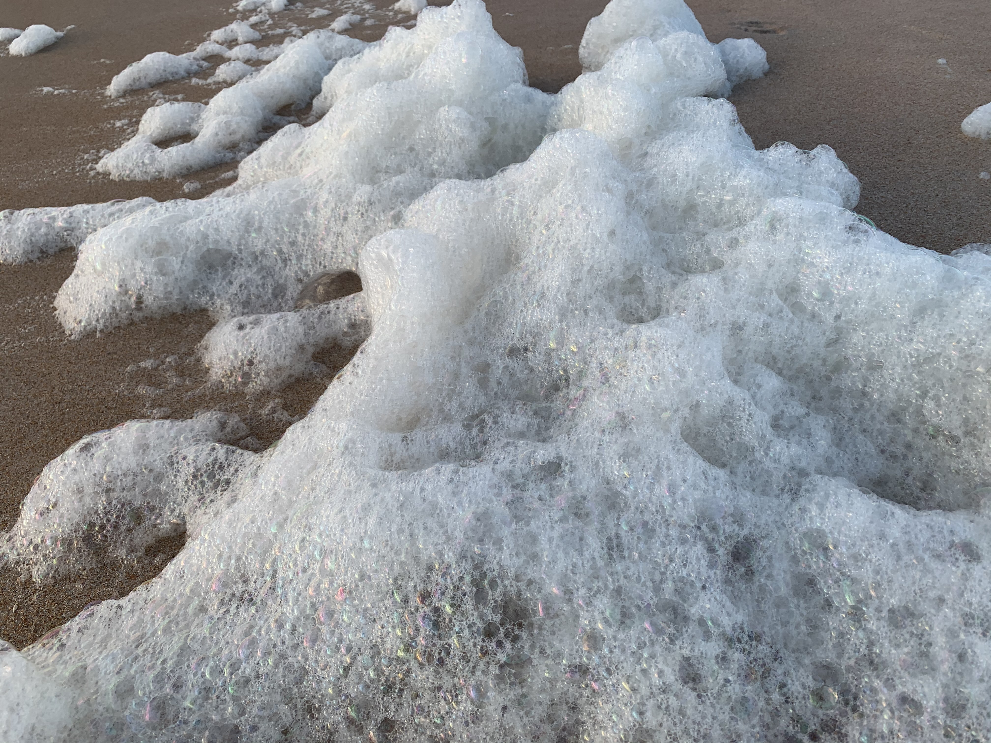 All You Ever Wanted to Know About Sea Foam, But Were Afraid to Ask